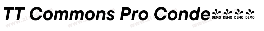 TT Commons Pro Conde字体转换